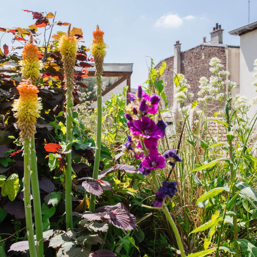 Le printemps est là, sur le toit suspendu de cette maison loft en ventre au coeur de Belleville par Patrice Juin, Immobilière 21JUIN