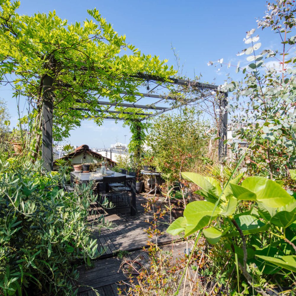 Toit terrasse luxuriant d'une maison unique en vente à Paris, dans le 20ème, entre le Parc de Belleville et Jourdain. Cette maison loft et ateliers, totalement atypique est en vente par Patrice Juin. 21juin.immo