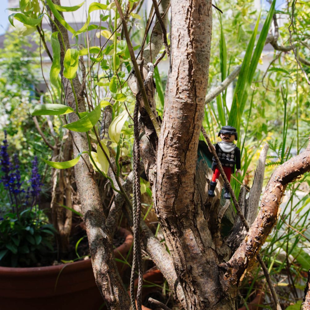 Le Playmobile gardien du jardin d'un maison unique en vente à Paris 20, née de la réunion de différents ateliers. Patrice Juin, Immobilière 21JUIN
